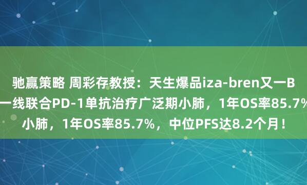 驰赢策略 周彩存教授:天生爆品iza-bren又一BIC疗效数据重磅公布:一线联合PD-1单抗治疗广泛期小肺,1年OS率85.7%,中位PFS达8.2个月!