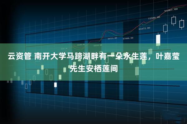 云资管 南开大学马蹄湖畔有一朵永生莲，叶嘉莹先生安栖莲间