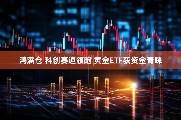 鸿满仓 科创赛道领跑 黄金ETF获资金青睐