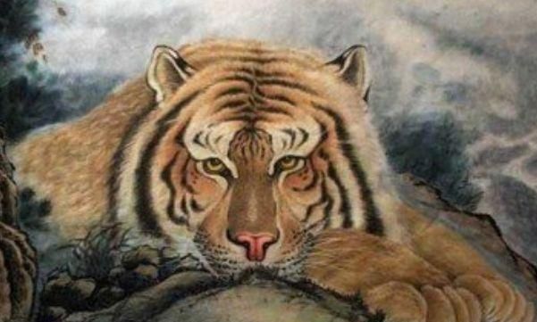 属虎的大人物一般出生在几月,几月份的老虎最好命属虎人生辰图3