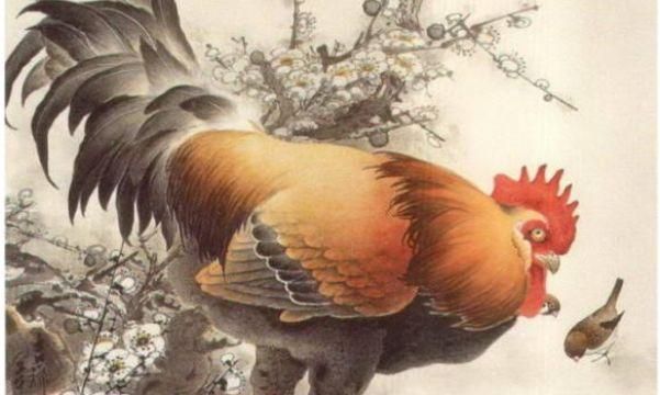 几点出生的属鸡是凤凰,几点出生的属鸡是凤凰1981年五月初八图7
