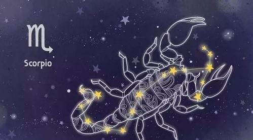 天蝎座与2星座的工作搭档,十二星座天蝎座和什么星座最配图1