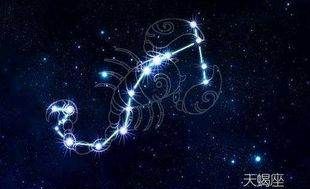 天蝎座与2星座的工作搭档,十二星座天蝎座和什么星座最配图2
