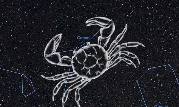 娱乐圈的双鱼巨蟹夫妻,和巨蟹三观一致的星座图2
